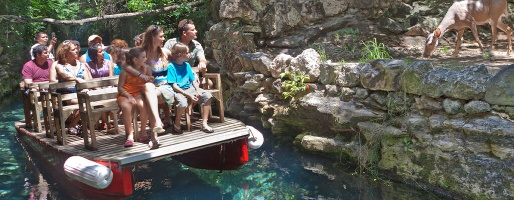 2021_03_03_5a09412a-e5fa-4218-a906-9be3a851b311