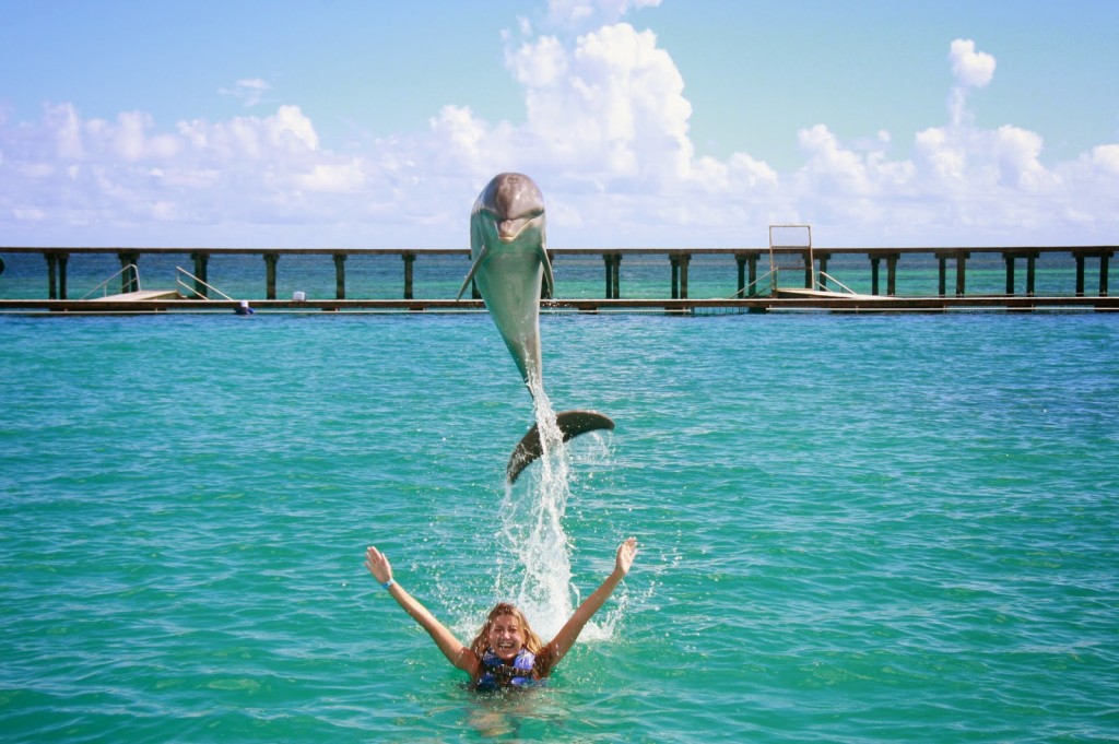 17-DOLPHIN-EXPLORER-intera----o-e-nado-com-golfinhos-punta-cana-dicas-de-viagem-republica-dominicana-caribe-bavaro-1024x681